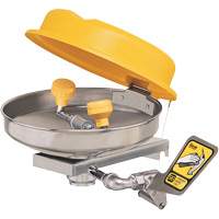 Eyewash Station, Wall-Mount Installation, Stainless Steel Bowl Rock Safety Industrial Ltd