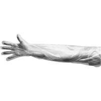 Disposable Gloves, Large, Polyethylene, 9-mil, Powdered, Clear Rock Safety Industrial Ltd