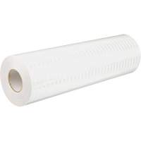 High Intensity Prismatic Grade Reflective Sheeting, 2" W x 150' L, 19 mils, White Rock Safety Industrial Ltd