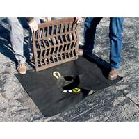 Storm Sentinel&reg; Catch Basin Insert, Sediment, 48" L x 36" W Rock Safety Industrial Ltd