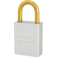Cadenas de s&eacute;curit&eacute; American Lock, Transparent, Cl&eacute;s identiques, Aluminium, Largeur de 1-1/2" Rock Safety Industrial Ltd