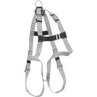 Dynamic B-Compliant Economy Harness, CSA Certified, Class AE, 310 lbs. Cap. Rock Safety Industrial Ltd