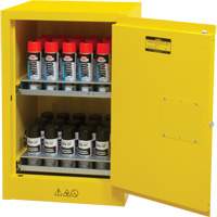 Armoire de rangement pour a&eacute;rosols inflammables, 12 gal., 1 Porte(s), 23" La x 35" h x 18" p Rock Safety Industrial Ltd