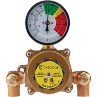 Mitigeur pour assemblage au groupe expos&eacute; d'une douche oculaire/faciale, 9 gal./min Rock Safety Industrial Ltd