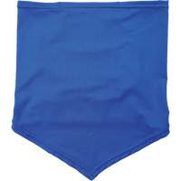 Bandeau cache-cou refroidissant Chill-Its 6483 avec pochette, Bleu Rock Safety Industrial Ltd