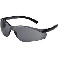 X300 Lunettes de s&eacute;curit&eacute;, Lentille Fum&eacute;e, Anti-&eacute;gratignures, ANSI Z87+/R&eacute;pond ou surpasse la norme CSA Z94.3 Rock Safety Industrial Ltd