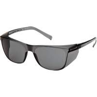 Lunettes de s&eacute;curit&eacute; Legacy, Lentille Gris, ANSI Z87+/R&eacute;pond ou surpasse la norme CSA Z94.3 Rock Safety Industrial Ltd