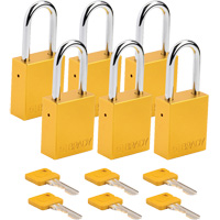 Cadenas de s&eacute;curit&eacute;, Cadenas de s&eacute;curit&eacute;, Cl&eacute;s diff&eacute;rentes, Aluminium, Largeur de 1-1/2" Rock Safety Industrial Ltd