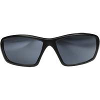Lunettes de s&eacute;curit&eacute; Robson avec joint, Lentille Miroir argent&eacute;, Anti-&eacute;gratignures/Polaris&eacute;, ANSI Z87+/MCEPS GL-PD 10-12/R&eacute;pond ou surpasse la norme CSA Z94.3 Rock Safety Industrial Ltd