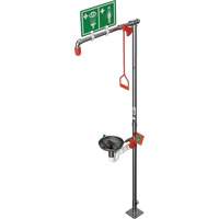 Douche combin&eacute;e avec cuvette ouverte en acier inoxydable et entr&eacute;e sup&eacute;rieure, Socle Rock Safety Industrial Ltd