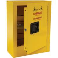 Armoire de s&eacute;curit&eacute; miniature pour produits inflammables, 2 gal., 1 Porte(s), 17" La x 22" h x 8" p Rock Safety Industrial Ltd