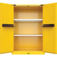 Armoire de s&eacute;curit&eacute; pour produits inflammables Utili-Guard+, 45 gal., 2 Porte(s), 43" La x 65" h x 22" p Rock Safety Industrial Ltd