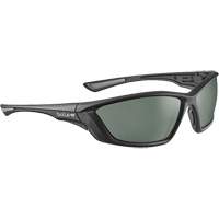Lunettes de s&eacute;curit&eacute; &agrave; protection balistique SWAT, Lentille Gris, Antibu&eacute;e/Anti-&eacute;gratignures/Polaris&eacute;, ANSI Z87+ Rock Safety Industrial Ltd