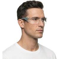 Adapt Lite Grey/Green Safety Glasses, Clear Lens, Anti-Fog/Anti-Scratch, ANSI Z87+/Meets/Exceeds CSA Z94.3 Rock Safety Industrial Ltd