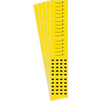 Marqueurs de tuyau avec espace vierge suivi du symbole °F , Autocollant, 2-1/4" h x 14" la, Noir sur jaune Rock Safety Industrial Ltd