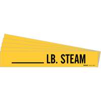 Marqueurs de tuyau LB. Steam, Autocollant, 2-1/4" h x 2-3/4" la, Noir sur jaune Rock Safety Industrial Ltd