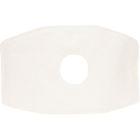 North&reg; Replacement Filter, Particulate Filter, N99 Filter Rock Safety Industrial Ltd