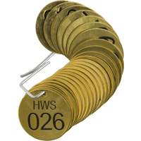 Numbered "HWS" Valve Tags, # 026-050, Brass, 1.5" dia Rock Safety Industrial Ltd