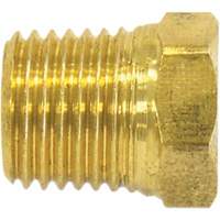Pipe Plug (Hex Head), 1/2" Dia., Brass Rock Safety Industrial Ltd