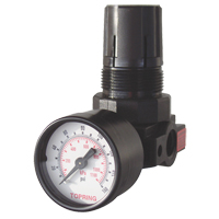 Mini Regulators, 1/4" NPT, 165 PSI Max. PSI, Modular Rock Safety Industrial Ltd