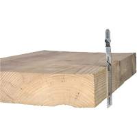 Lame de scie alternative pour la coupe du bois, Acier &agrave; haute teneur en carbone, Tige en T, 4" lo, 10 dents par pouce Rock Safety Industrial Ltd