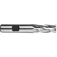 C615 End Mill, 1/4" Dia., 4 Flutes, High Speed Steel Rock Safety Industrial Ltd