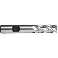 C618 End Mill, 1" Dia., 4 Flutes, High Speed Cobalt Rock Safety Industrial Ltd