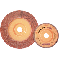 Enduro-Flex Stainless Flap Disc, 4-1/2" x 7/8", Type 27, 40 Grit, Zirconia Alumina Rock Safety Industrial Ltd