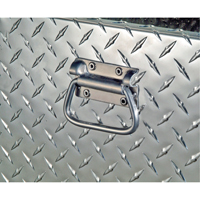 Aluminum Fuel Transfer Tank & Chest, Aluminum, 74 gal. Capacity, Silver Rock Safety Industrial Ltd