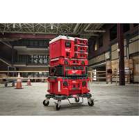 Glaci&egrave;re compacte Packout, 16 pintes Capacit&eacute; Rock Safety Industrial Ltd