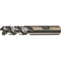 PM Plus Single End Roughers, Powder Metal, 3-Flute, Centre Cutting, Square End, 3/4" Dia. Rock Safety Industrial Ltd