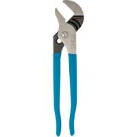 Pince multiprise &agrave; m&acirc;choire droite, 9-1/2" Rock Safety Industrial Ltd
