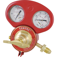 153 Series - Gauge Protectors Rock Safety Industrial Ltd