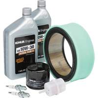 Kohler&reg; Tune Up Kit for Engine Maintenance Rock Safety Industrial Ltd