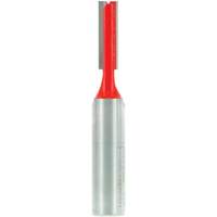 Router Bit - Double Flute Straight Bit, 5/16" Dia., 1" H, 2-3/4" L Rock Safety Industrial Ltd
