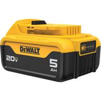 Bloc-piles Max XR Premium, Lithium-ion, 20 V, 5 A Rock Safety Industrial Ltd