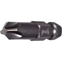 Embout pour outil &eacute;lectrique, Phillips, Embout #2, Prise 1/4", Longueur 2-3/4" Rock Safety Industrial Ltd
