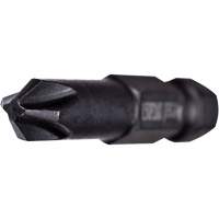 Embout extra dur pour outils &eacute;lectriques, Phillips, Embout #1, Prise 1/4", Longueur 6" Rock Safety Industrial Ltd