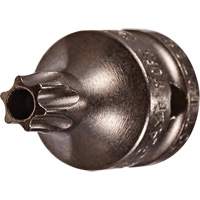 Socket Bit, Torx&reg; Tamper, 8 x 3/4" L, 1/4" Drive Rock Safety Industrial Ltd