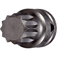 Socket Bit, Triple Square, 5 x 3/4" L, 1/4" Drive Rock Safety Industrial Ltd