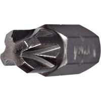 Embout, Pozidriv, #2, Prise 1/4" Rock Safety Industrial Ltd
