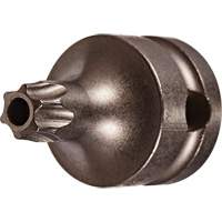 Socket Bit, Torx&reg; Tamper, 25 x 1" L, 3/8" Drive Rock Safety Industrial Ltd
