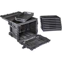Gen 2 Mobile Tool Chest, 24" W, 6 Drawers, Black Rock Safety Industrial Ltd