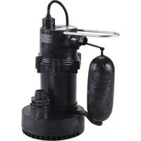 Pompe de puisard de s&eacute;rie 5.5, 35 gal./min, 115 V, 3,5 A, 1/4 CV Rock Safety Industrial Ltd