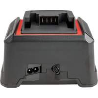 2.5 Ah & 5.0 Ah Battery Charger, 120 V, Lithium-Ion Rock Safety Industrial Ltd