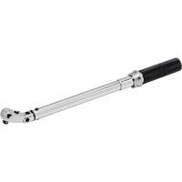 Cl&eacute; dynamom&eacute;trique &agrave; microm&egrave;tre, &agrave; cliquer, Entraînement 3/8" carr&eacute;, 10,17 - 105,1 N,m/5 - 75 lb-pi Rock Safety Industrial Ltd
