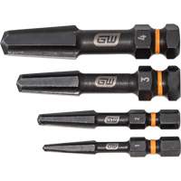 Jeu d'extracteur de vis Bolt Biter, Acier rapide, 4 Morceaux Rock Safety Industrial Ltd