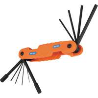 Pro Folding Hex Key Set, 10 Pcs., Metric Rock Safety Industrial Ltd