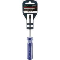 Blue Transparent Striped Philips Screwdriver, #1, Plastic Handle Rock Safety Industrial Ltd