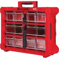 Organisateur PACKOUT &agrave; bac inclinable, 15-1/5" x 19-7/10" x 6-7/10", Noir/Rouge Rock Safety Industrial Ltd